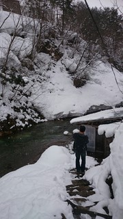 1429078605125.jpg