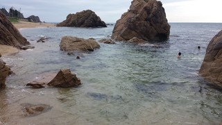 20140815_151252.jpg