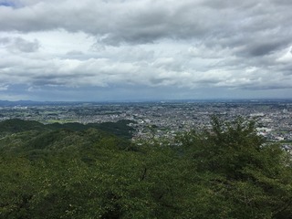 IMG_1262.jpg