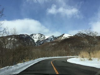 IMG_2174.jpg